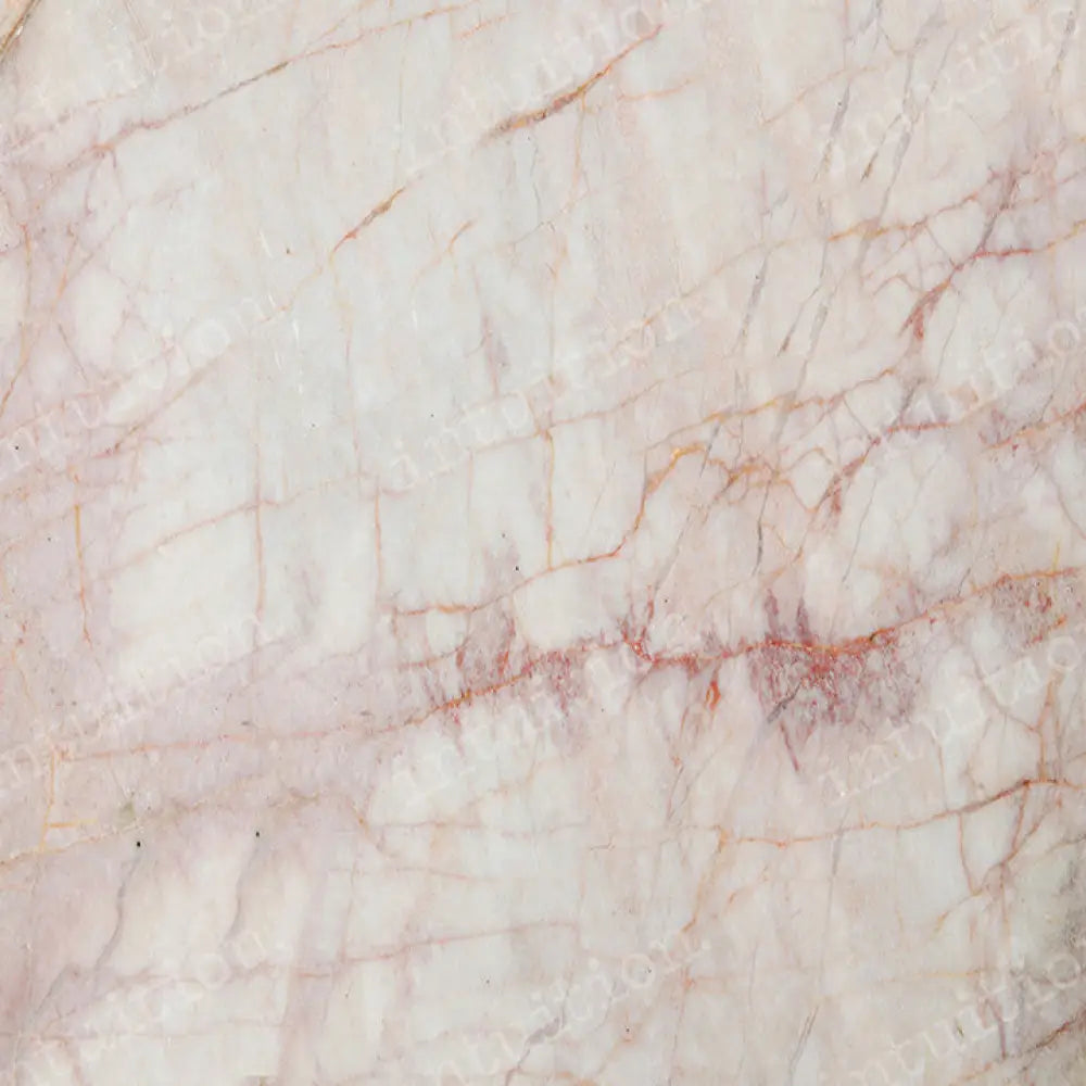 Jacqueline Poly / 60X44 Backdrop