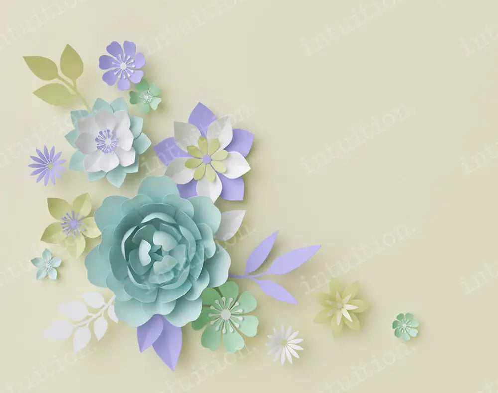 Lacey Backdrop