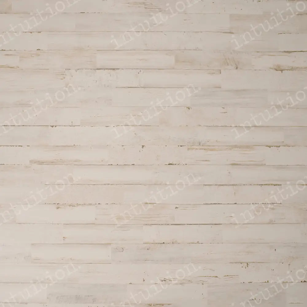 Latte Poly / 60X44 Backdrop