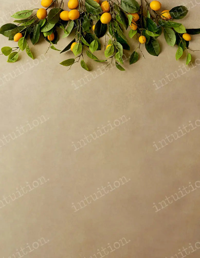 Lima Backdrop