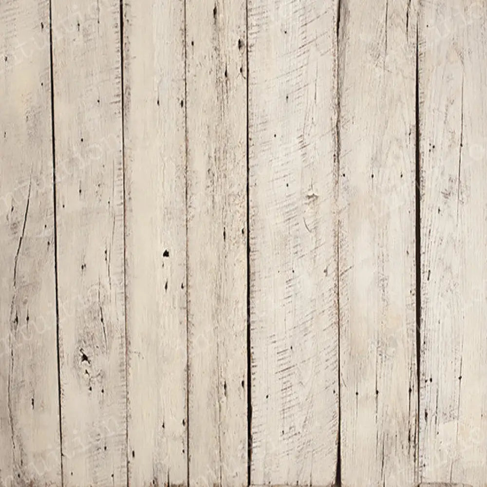 Lindsey Poly / 60X44 Backdrop