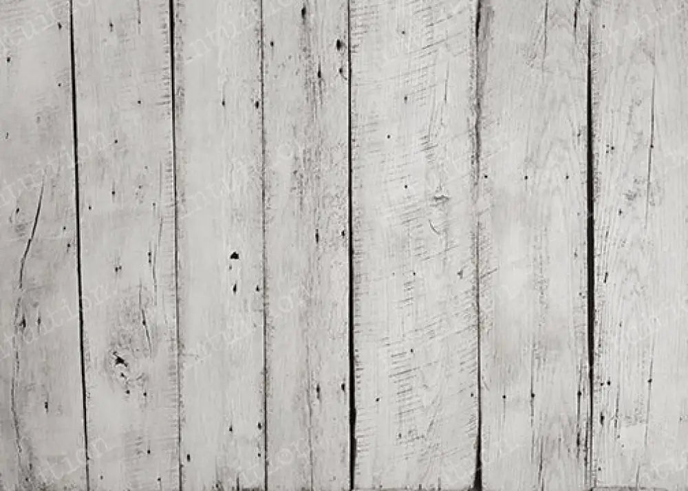 Lindsey Ivory Backdrop
