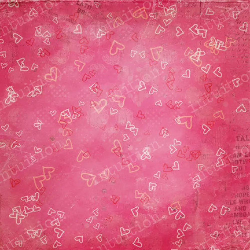 Love Bugs Poly / 60X44 Backdrop