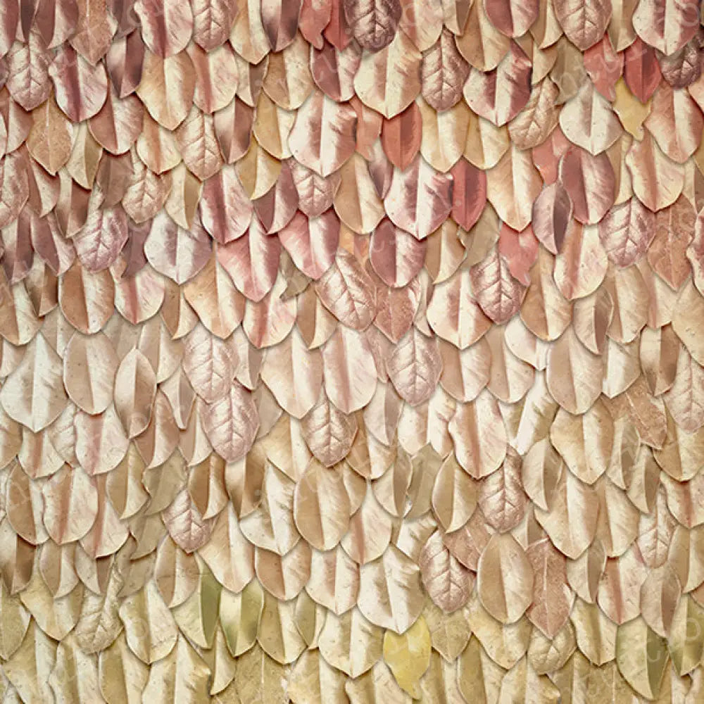 Luster Poly / 60X44 Backdrop