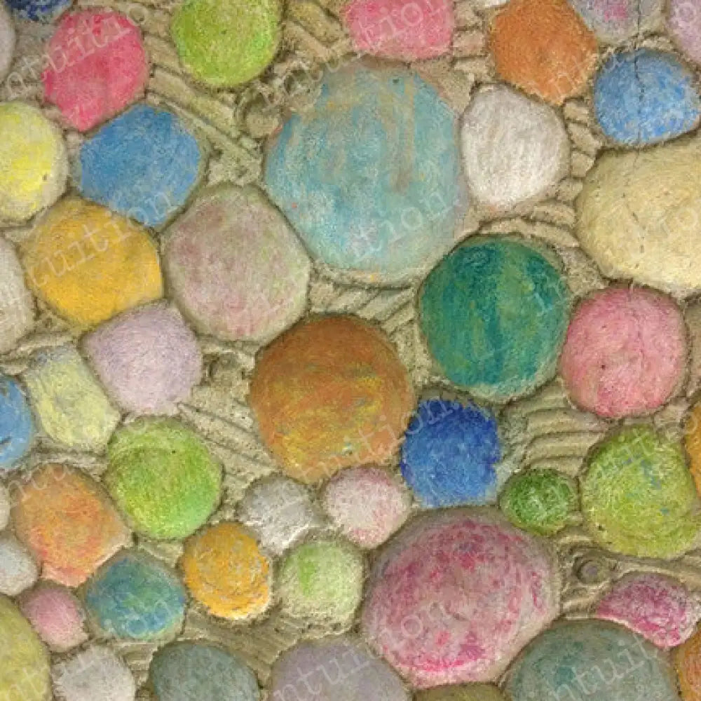 Macey Poly / 60X44 Backdrop