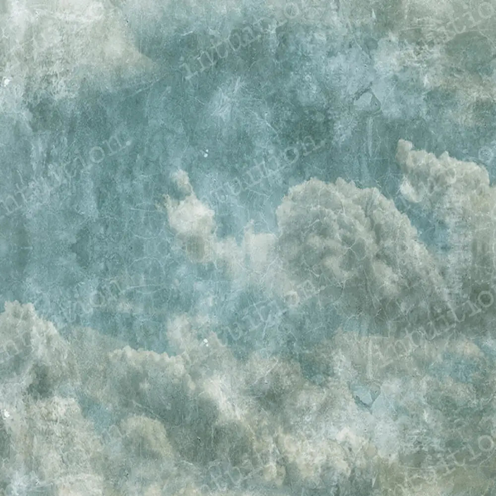 Michael Angelo Square / Canvas 8X8 Backdrop