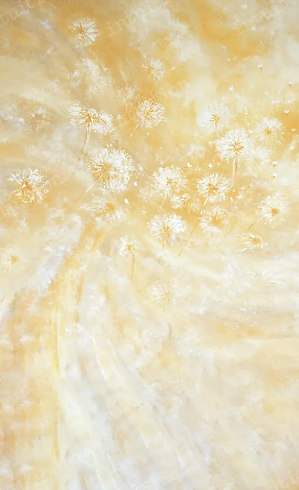 Mini Sweep - Dandy Lion