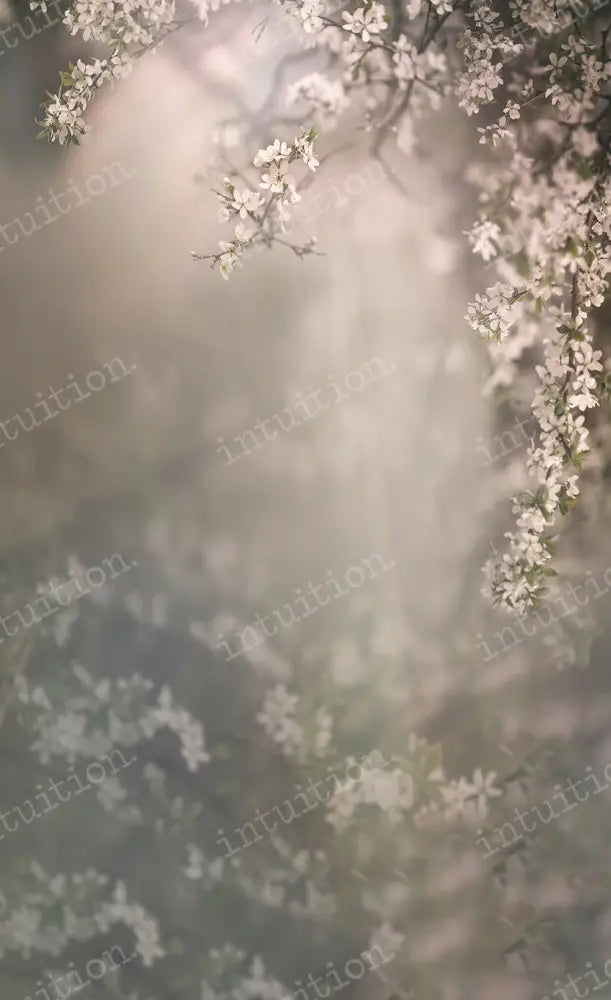 Mini Sweep - Dogwood Bloom (50% off automatic at checkout) sale