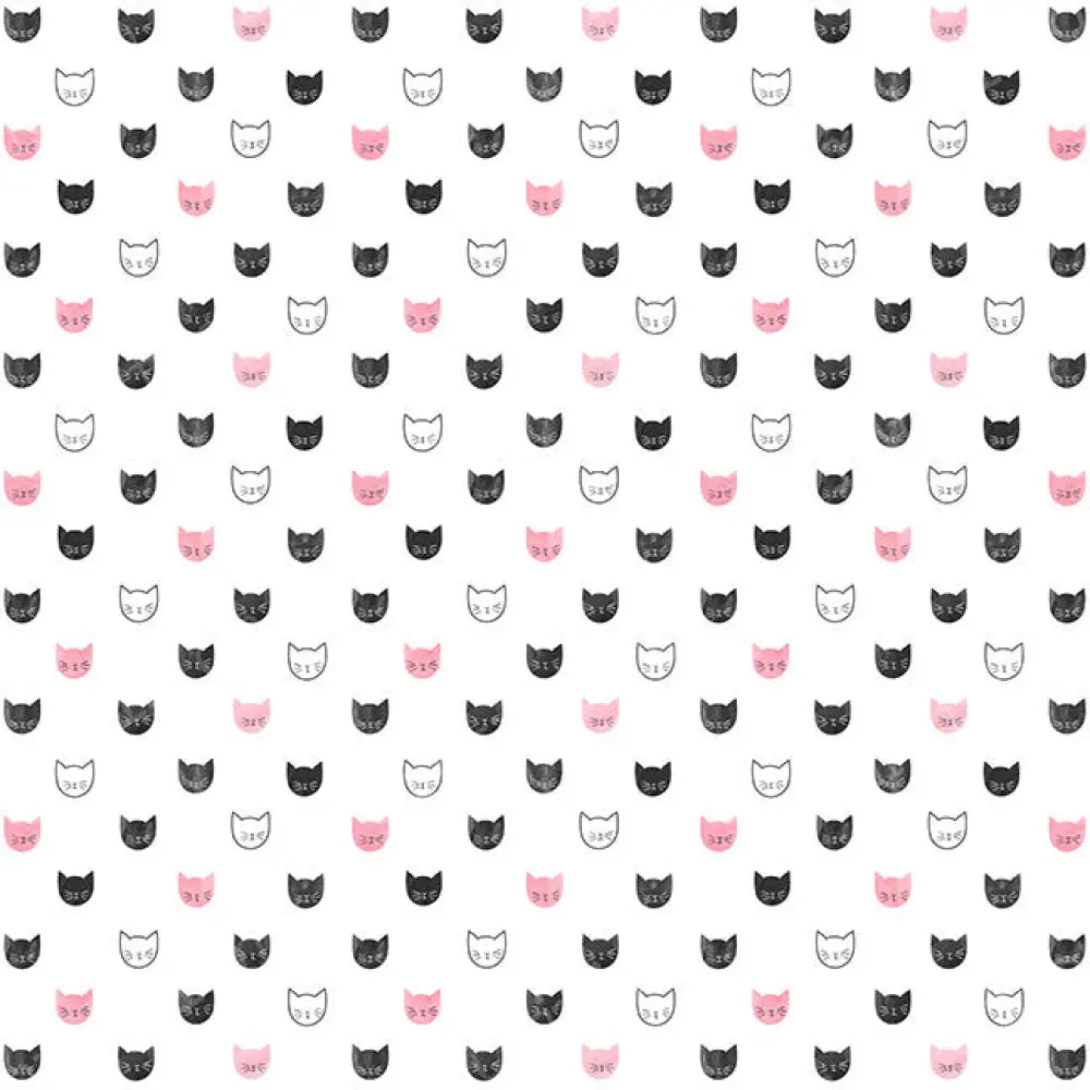 Miss Kitty Poly / 60X44 Backdrop