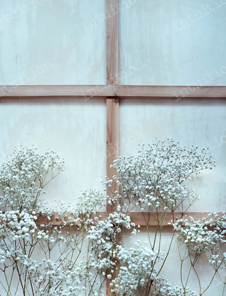 Modern Romance By Shannon K Dougherty Backdrop