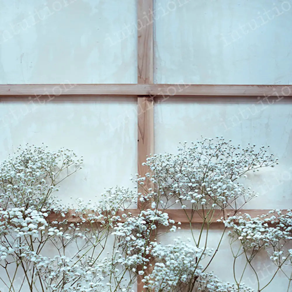 Modern Romance By Shannon K Dougherty Square / Poly 60X60 Backdrop