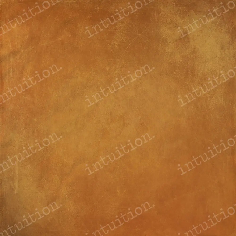 Mojave Horizontal / Poly 60X44 Backdrop