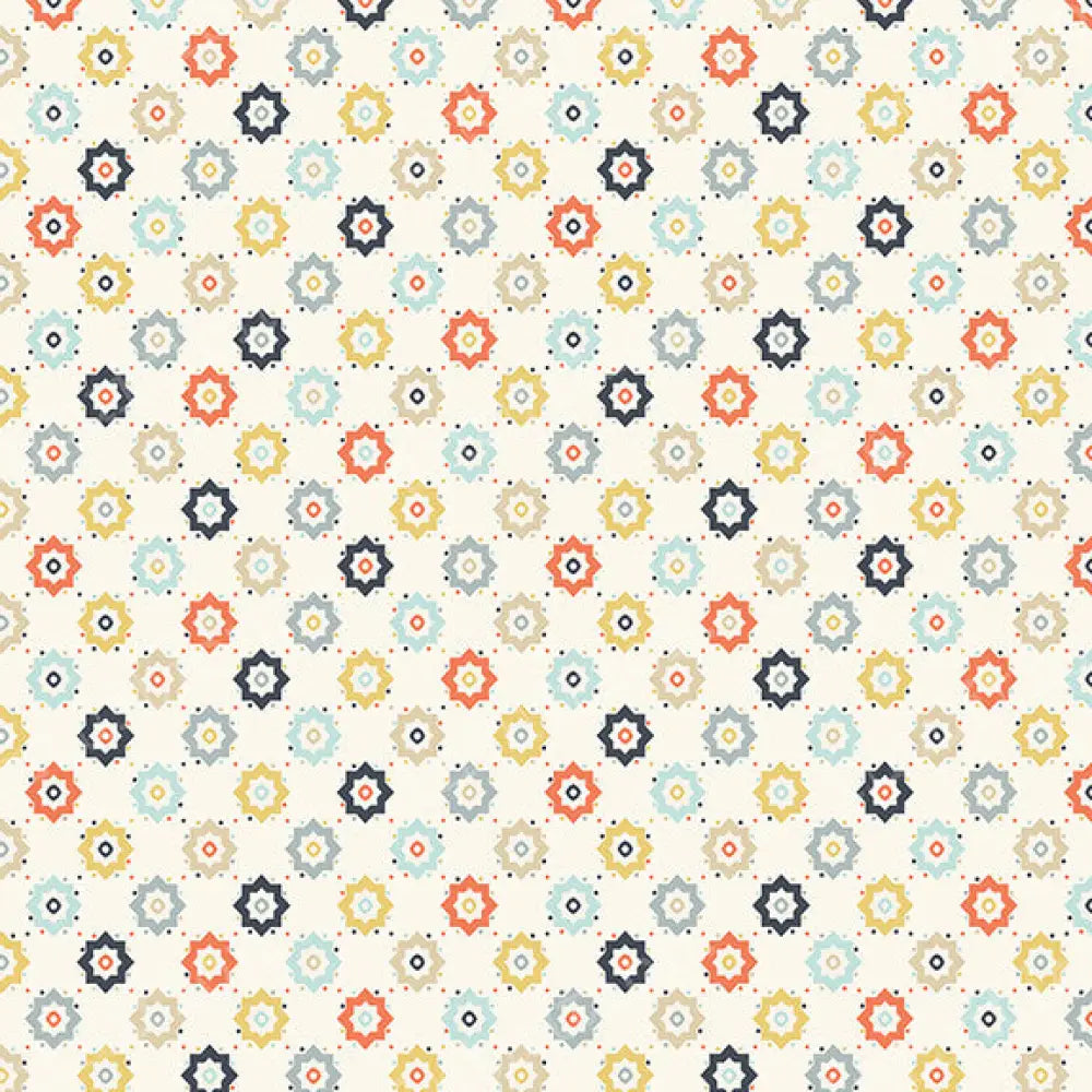 Noah Poly / 60X44 Backdrop