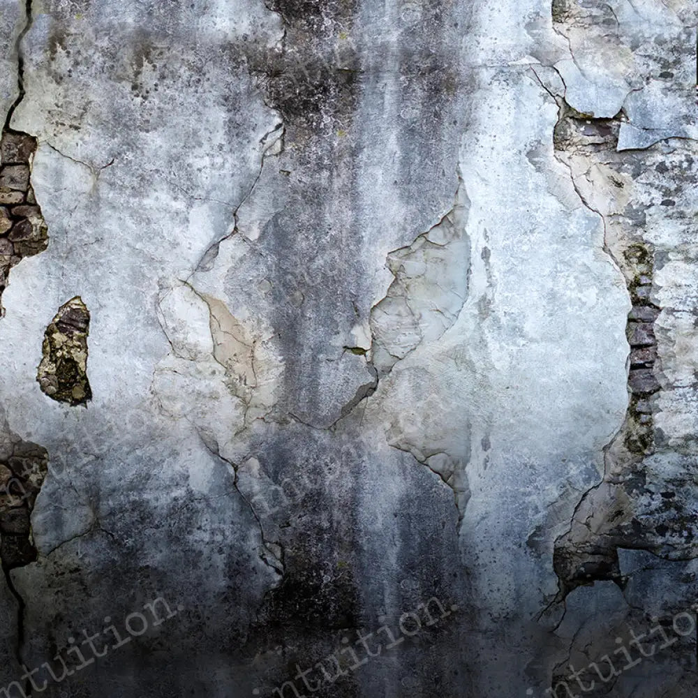 Nottingham Horizontal / Poly 60X44 Backdrop