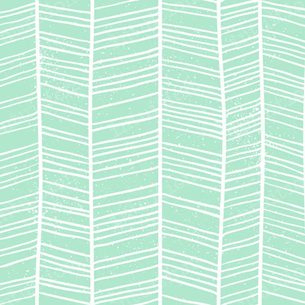 Nova Poly / 60X44 Backdrop