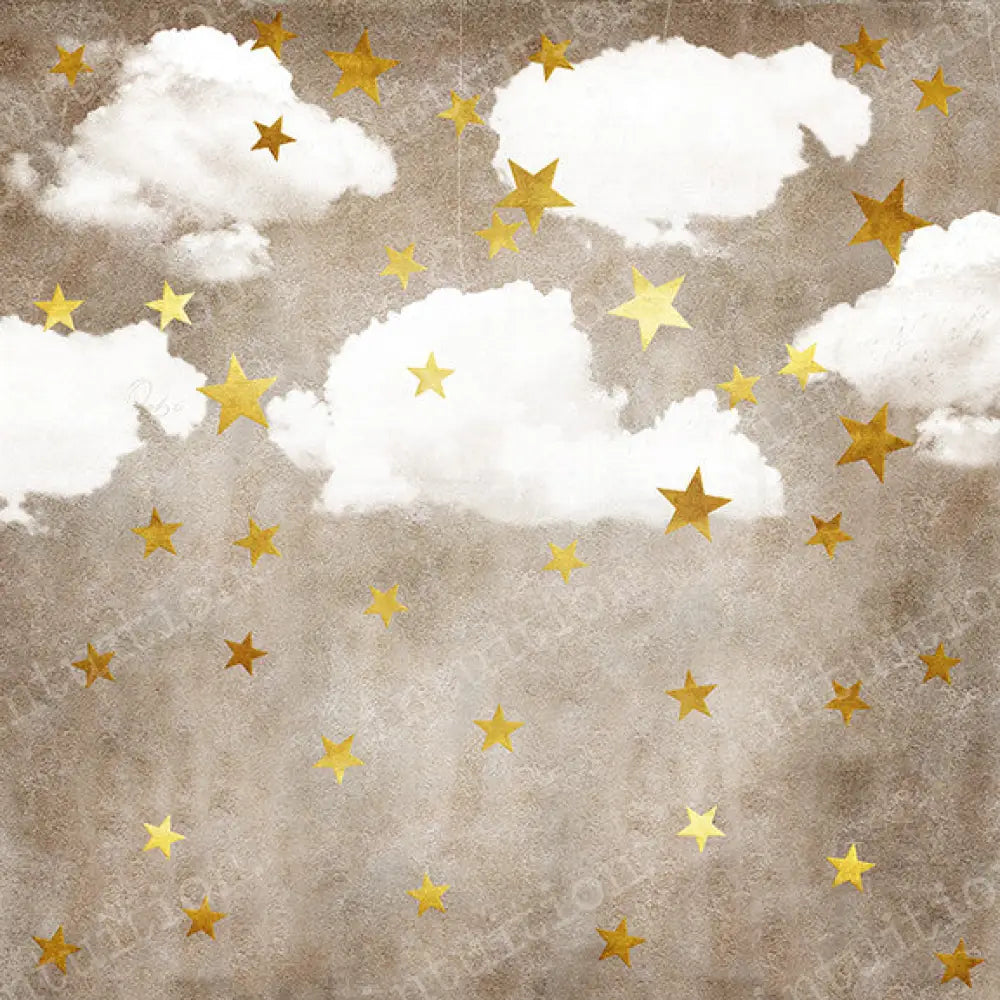 Ophelia Poly / 60X44 Backdrop