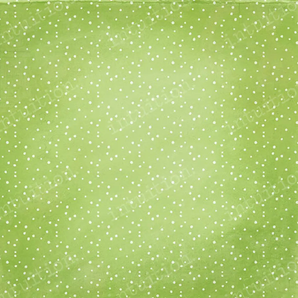 Oscar Poly / 60X44 Backdrop