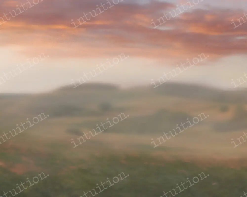 Painted Sky Backdrop