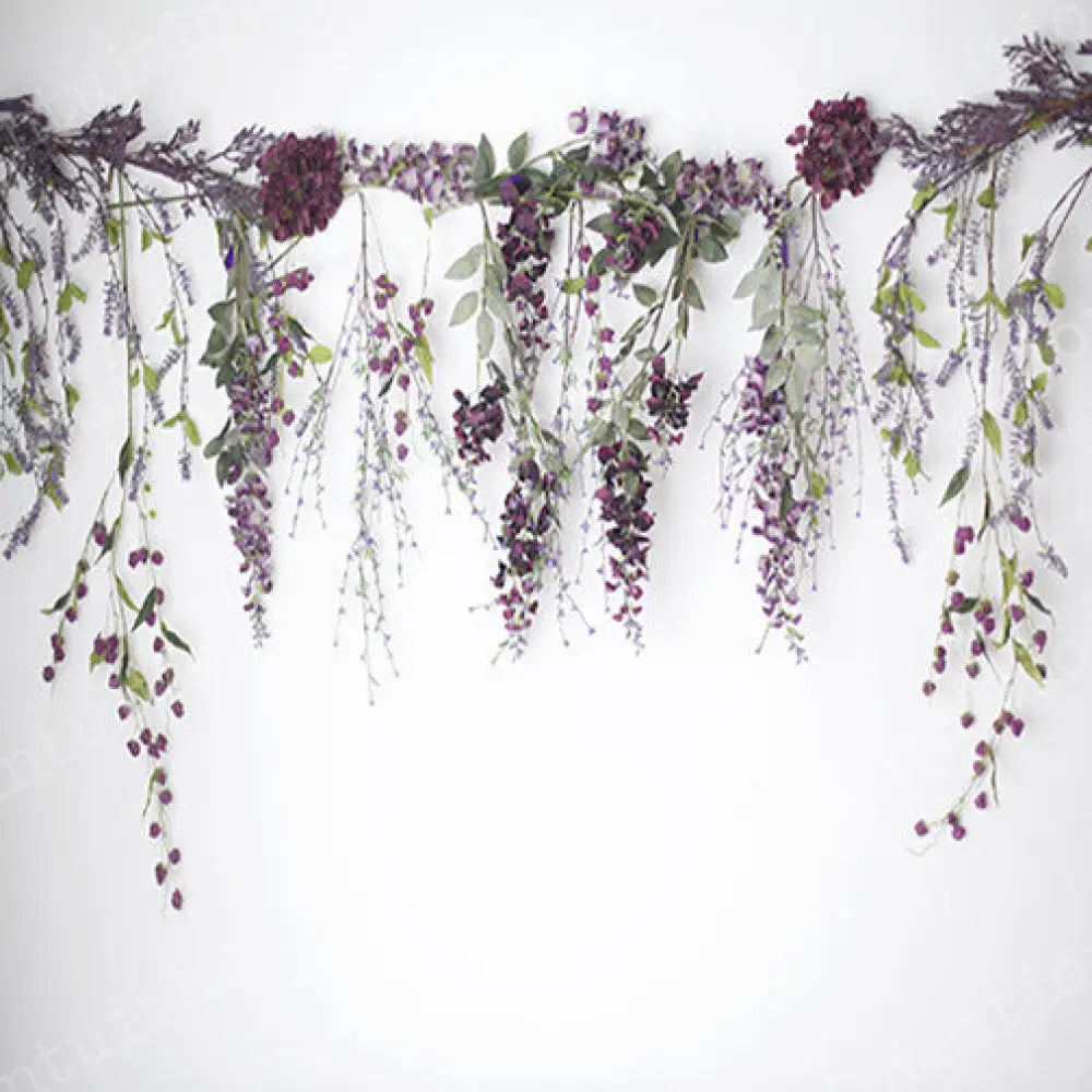 Paisley Poly / 60X44 Backdrop