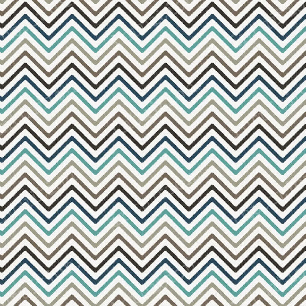 Peter Poly / 60X44 Backdrop