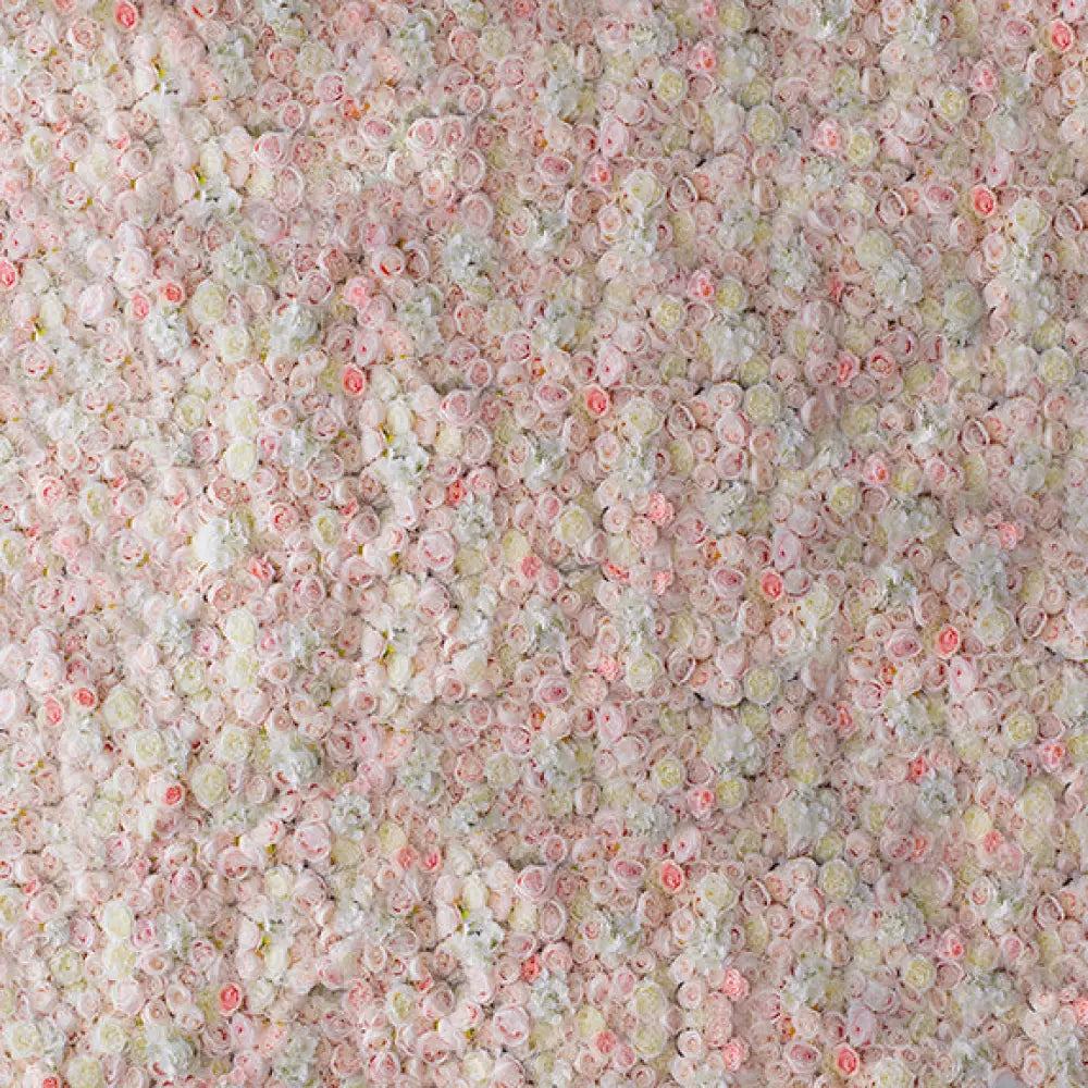 Piero Horizontal / Poly 60X44 Backdrop