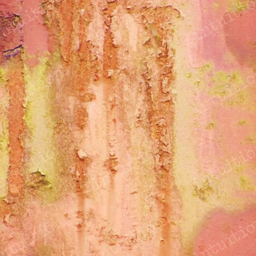 Pink Rust Poly / 60X44 Backdrop