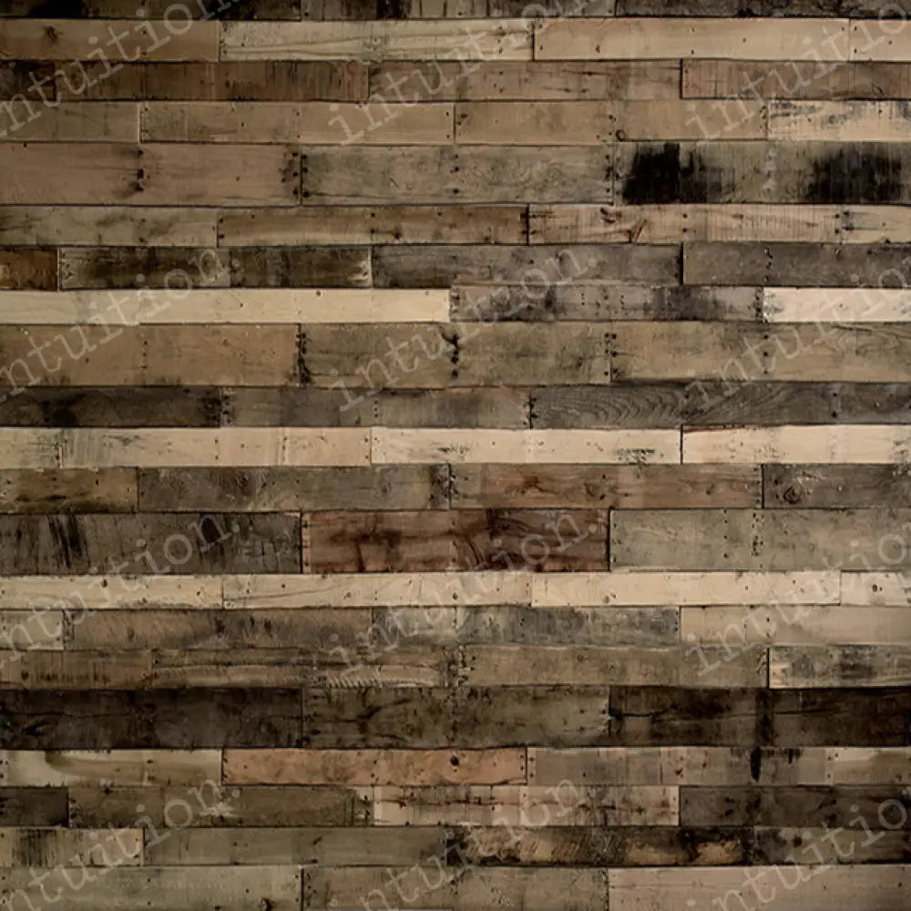 Poconos Poly / 60X44 Backdrop