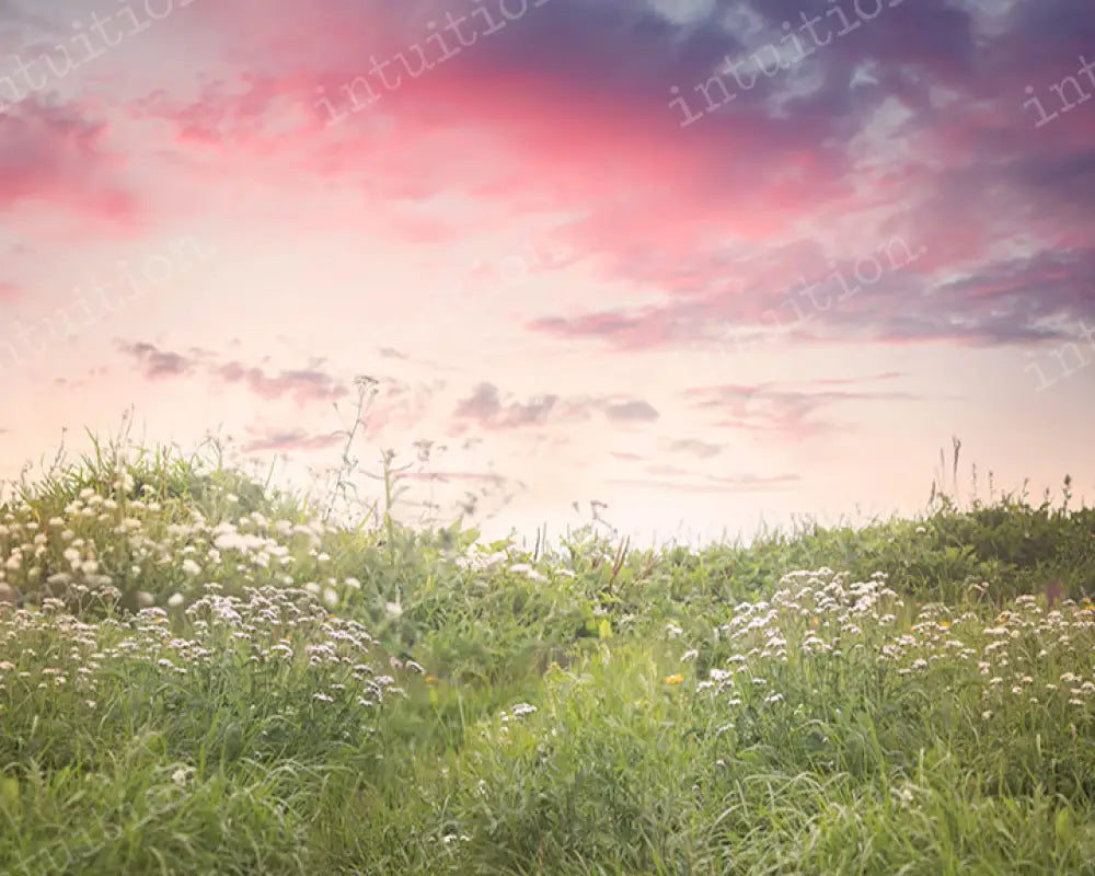 Pretty Pasture Backdrop