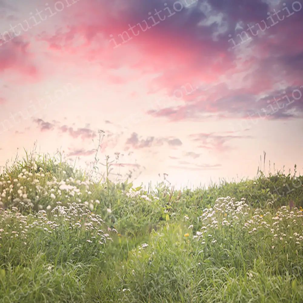 Pretty Pasture Horizontal / Poly 60X44 Backdrop