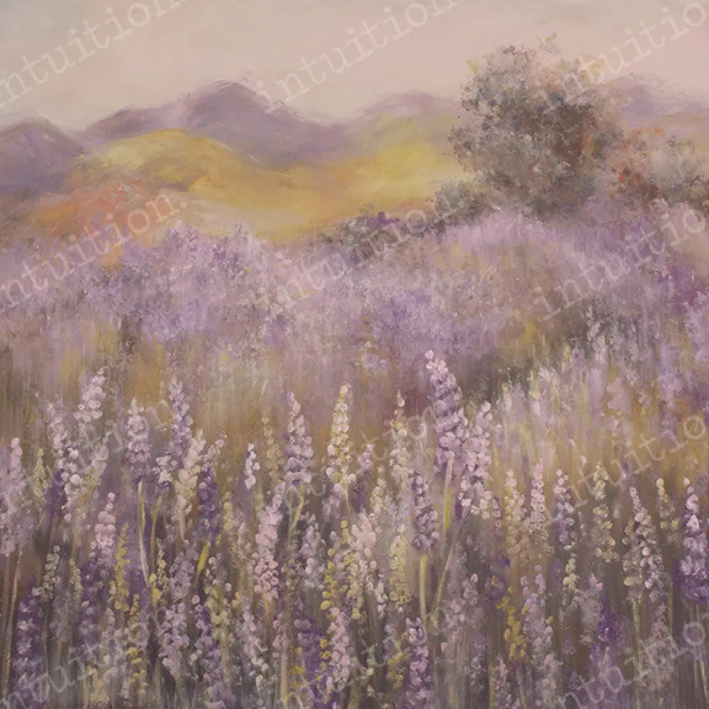 Provence Poly / 60X44 Backdrop