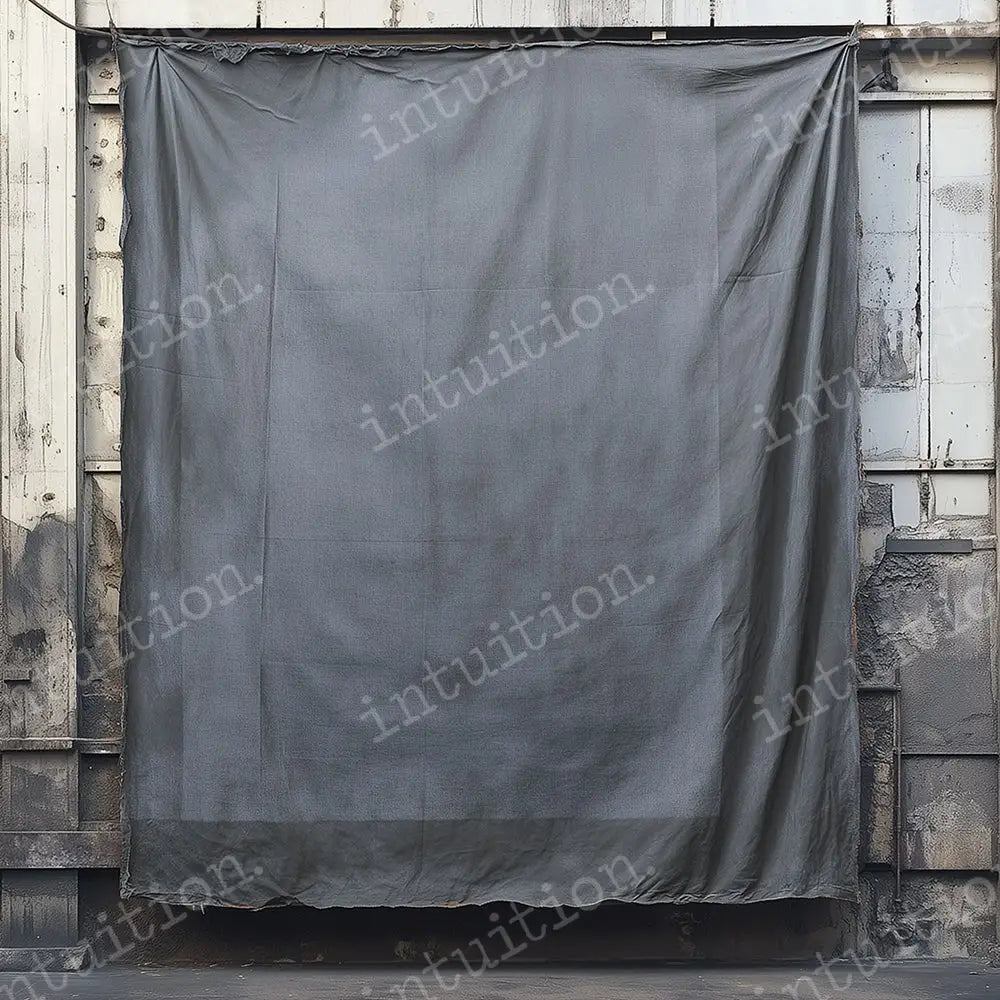 Rembrandt Grey Backdrop