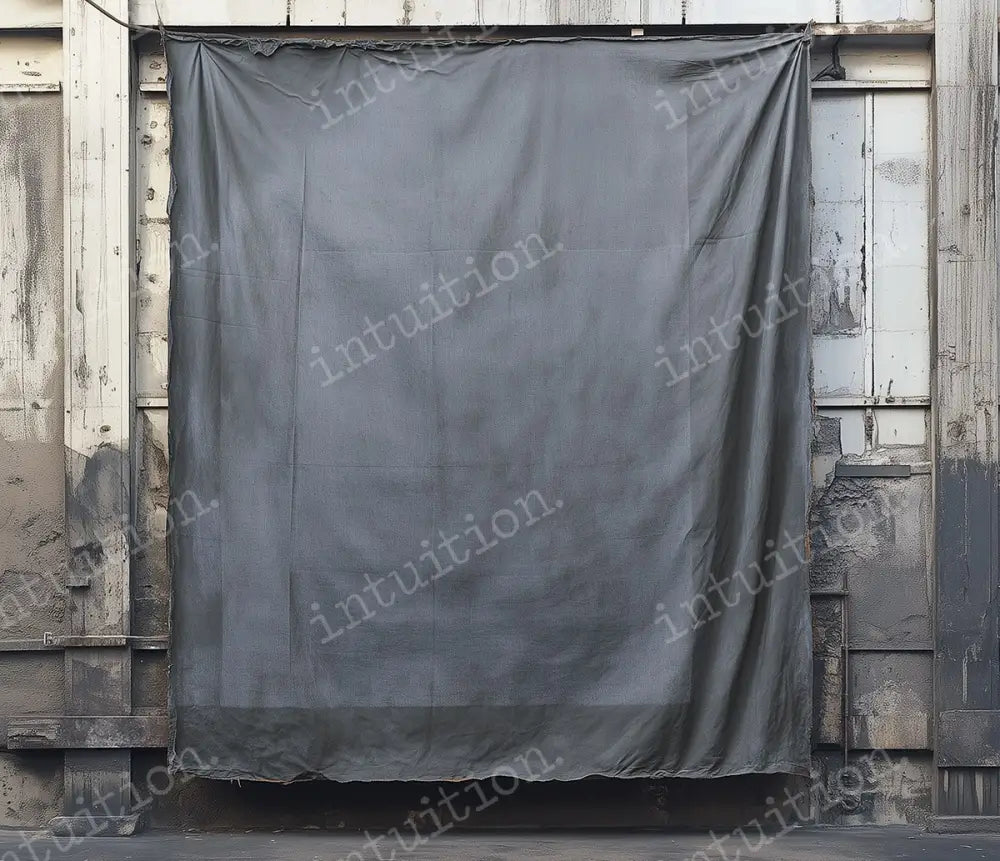 Rembrandt Grey Backdrop