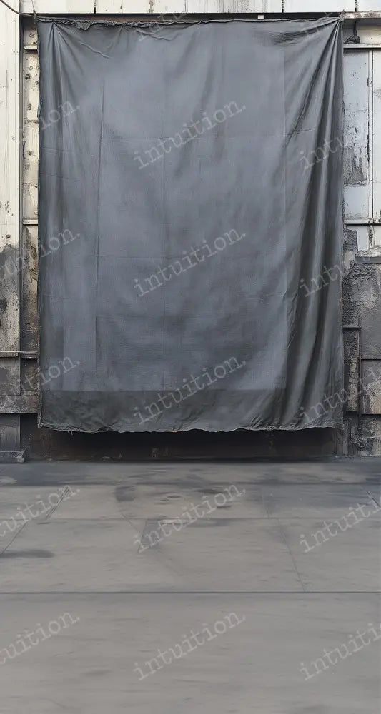 Rembrandt Grey Backdrop