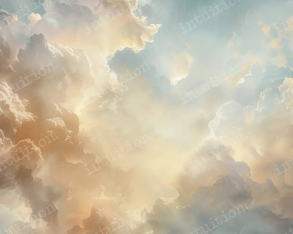 Renaissance Backdrop