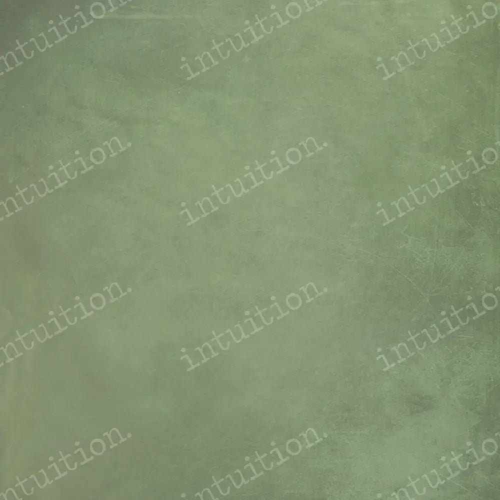 Sage Horizontal / Poly 60X44 Backdrop