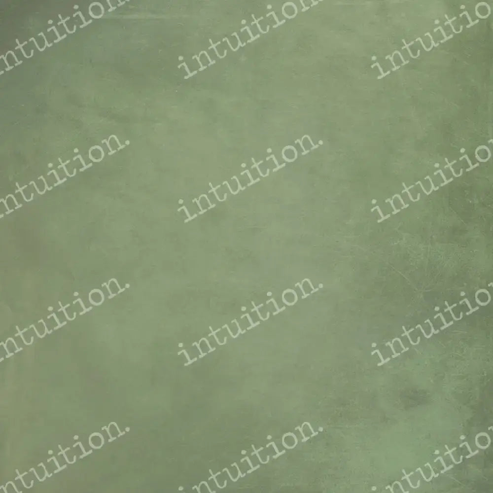 Sage Horizontal / Poly 60X44 Backdrop