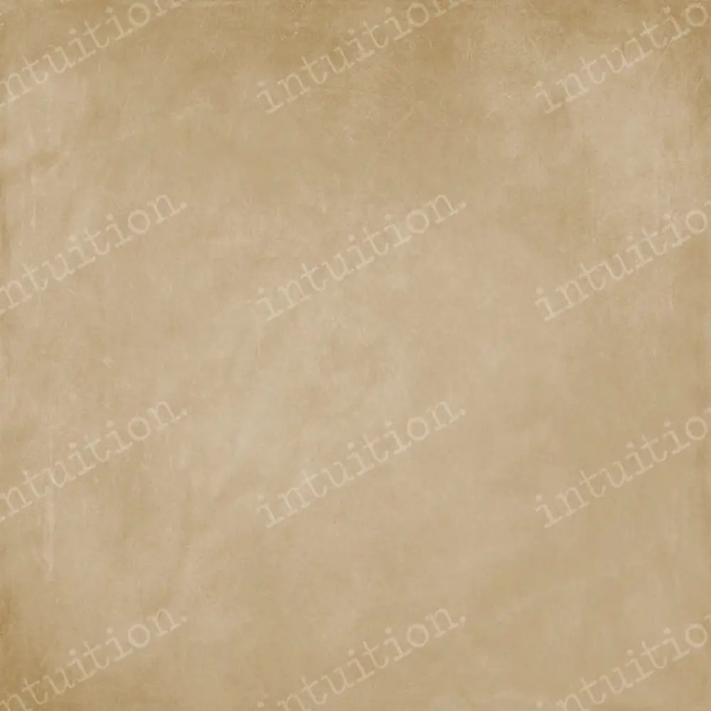 Sandy Days Horizontal / Poly 60X44 Backdrop