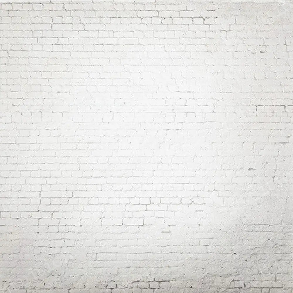 Savannah Poly / 60X44 Backdrop