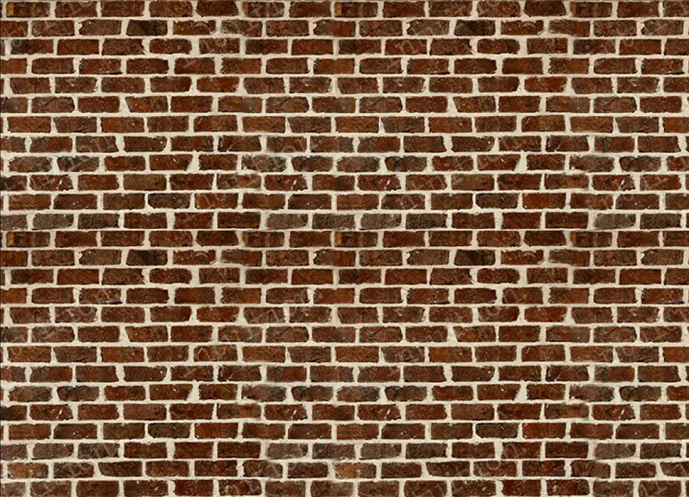 Scott Backdrop