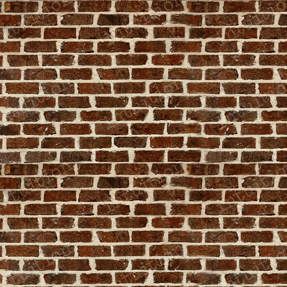 Scott Horizontal / Poly 60X44 Backdrop