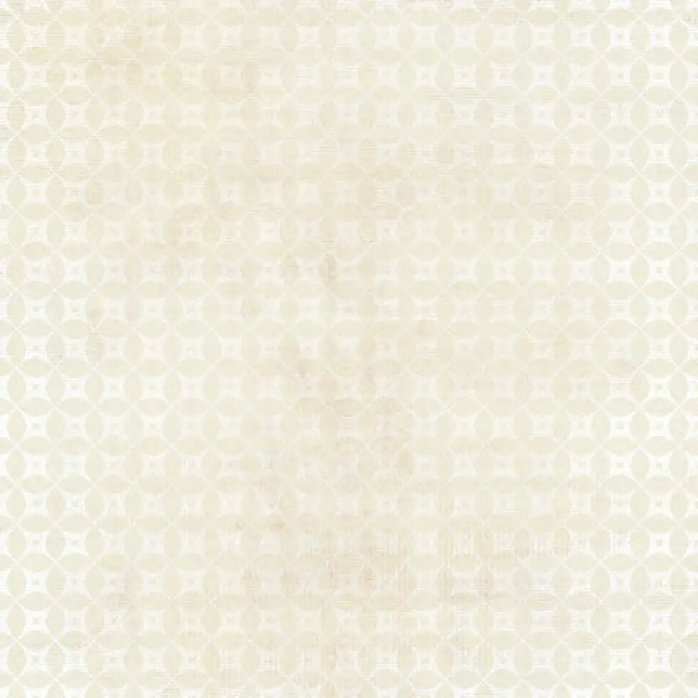 Shea Poly / 60X44 Backdrop