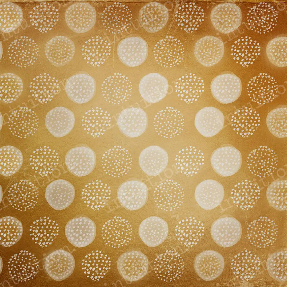 Simon Poly / 60X44 Backdrop