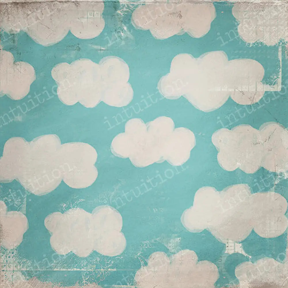 Skys The Limit Poly / 60X44 Backdrop