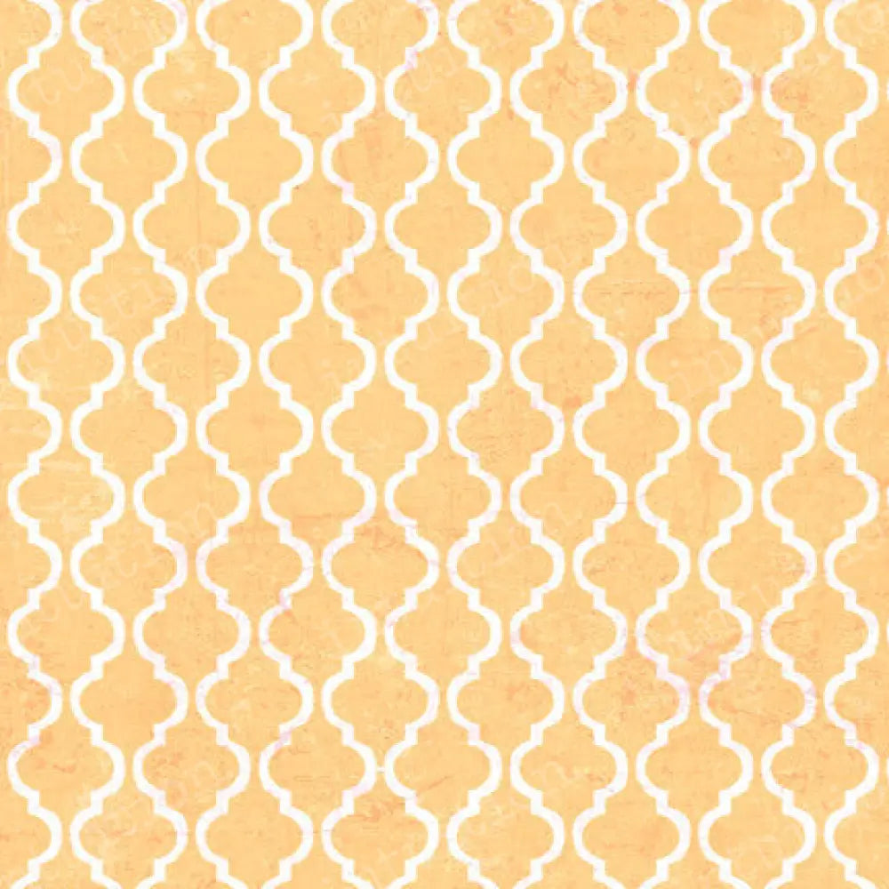Sorbet Poly / 60X44 Backdrop