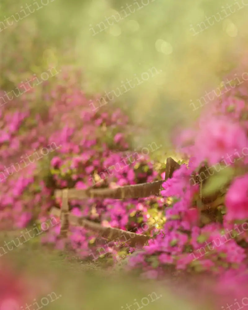 Southern Garden Backdrop