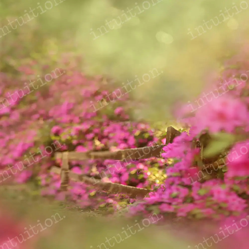 Southern Garden Horizontal / Poly 60X44 Backdrop