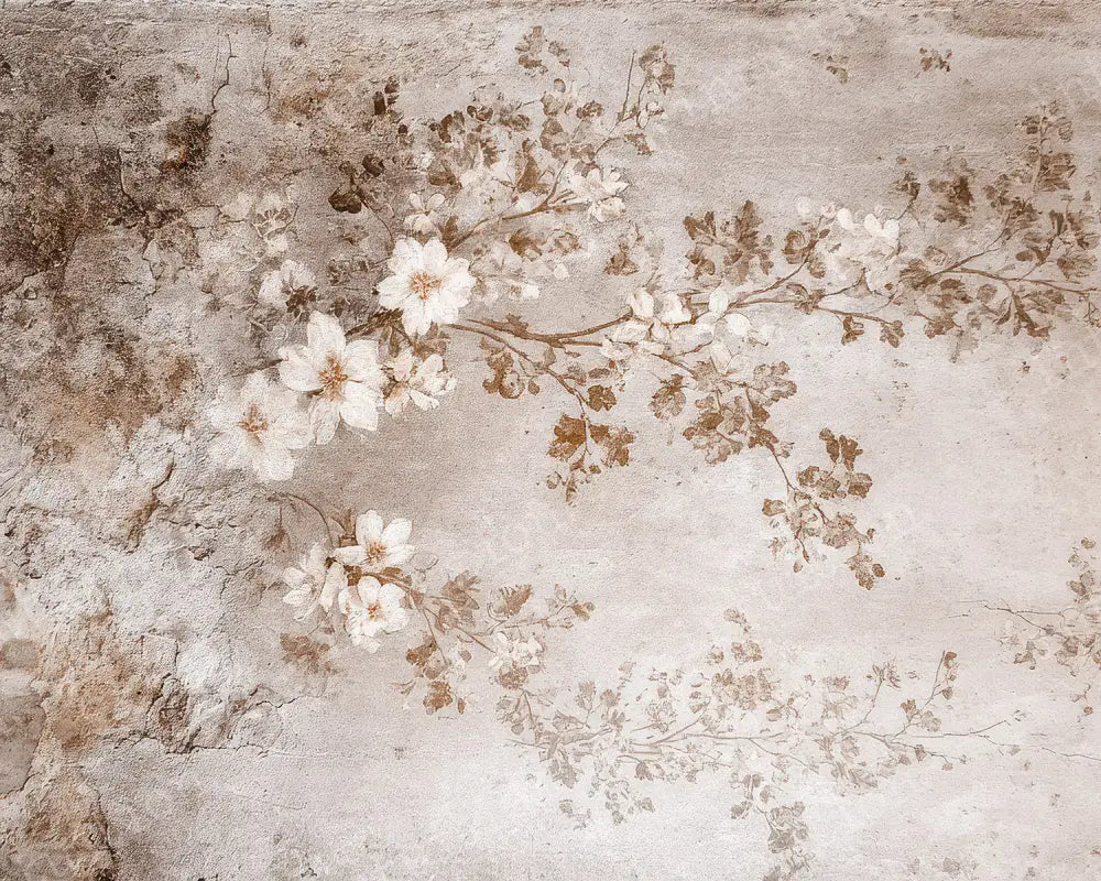 Sovana Horizontal / Fabric / 5x4 Backdrop