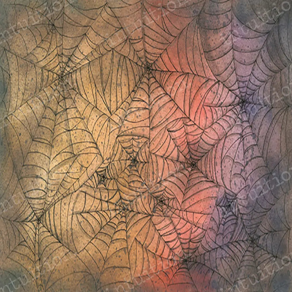 Spidey Poly / 60X44 Backdrop
