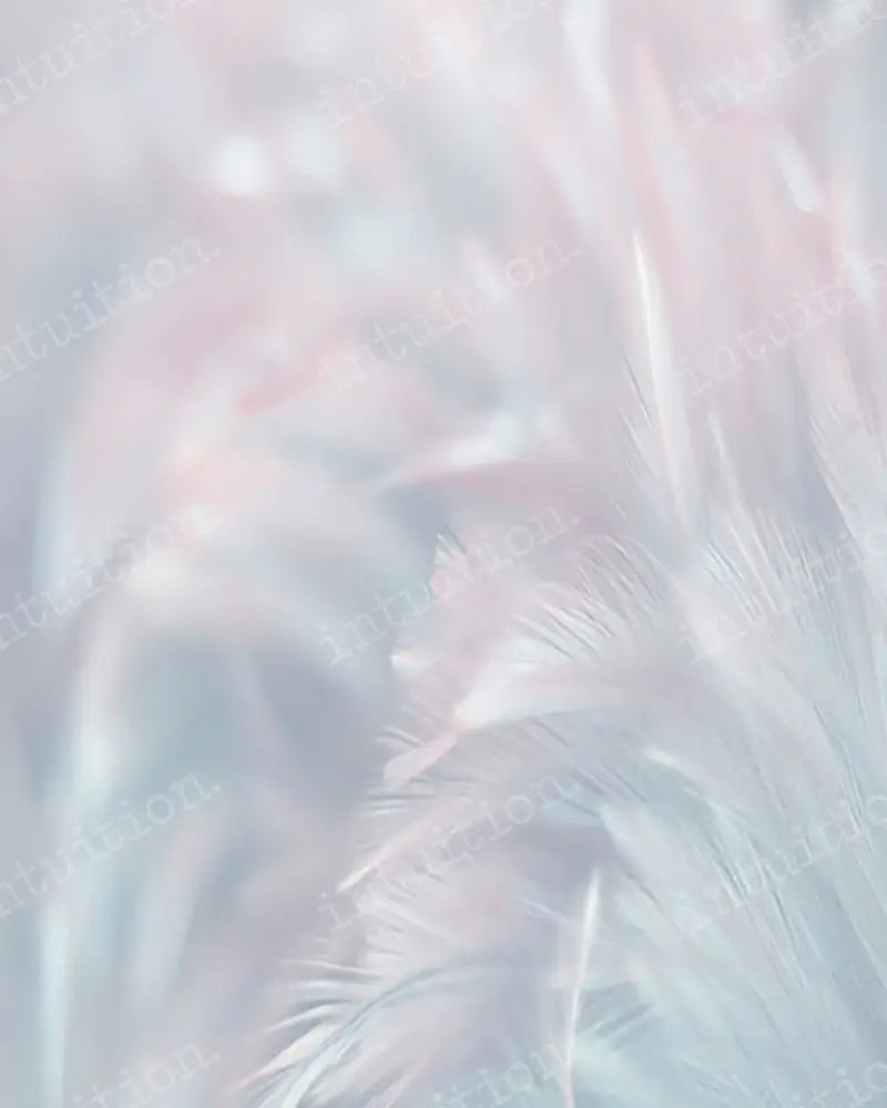 Spring Whisp Backdrop