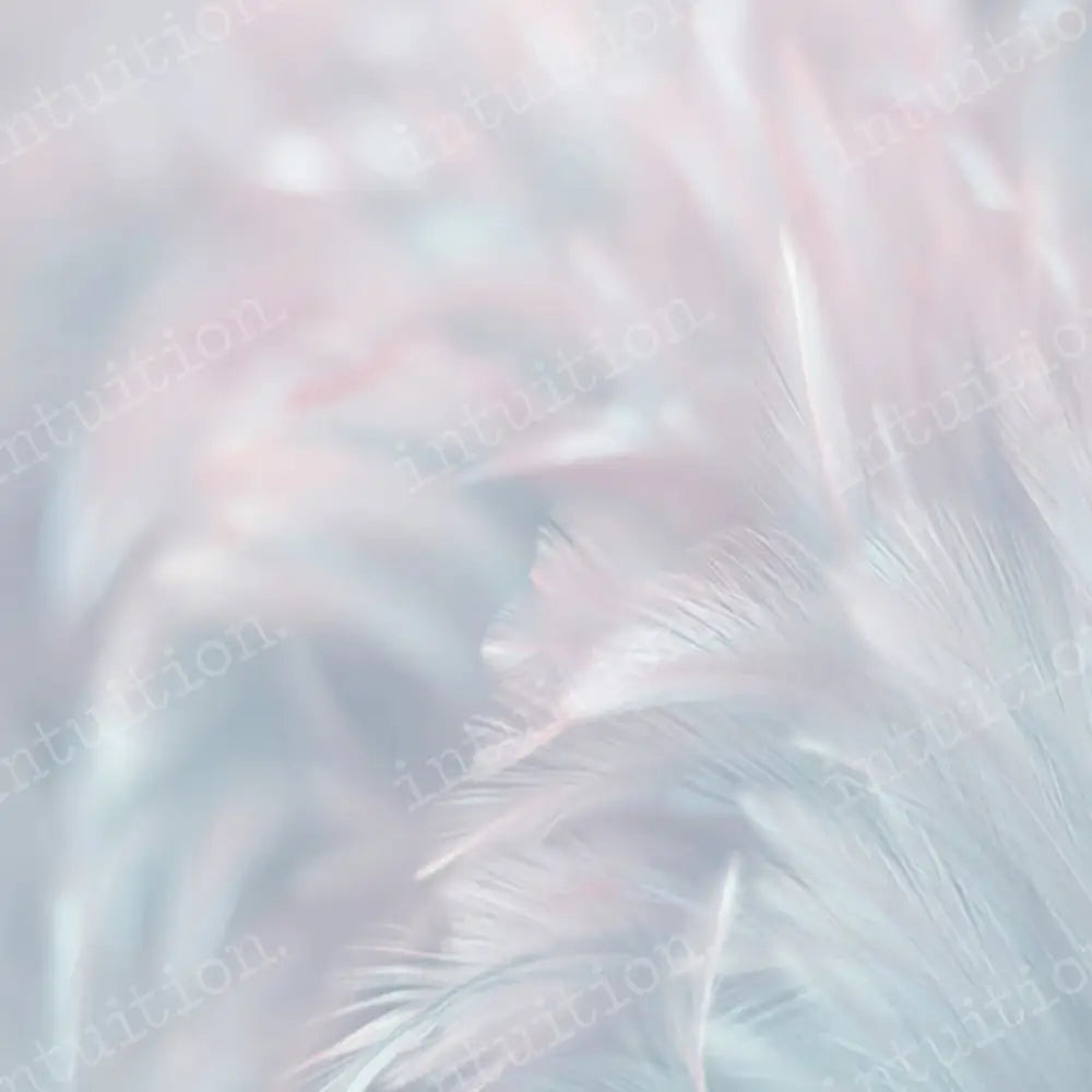 Spring Whisp Horizontal / Poly 60X44 Backdrop